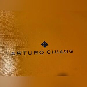 Arturo Chaing stacked heel boots in a size 8.5 perfect condition